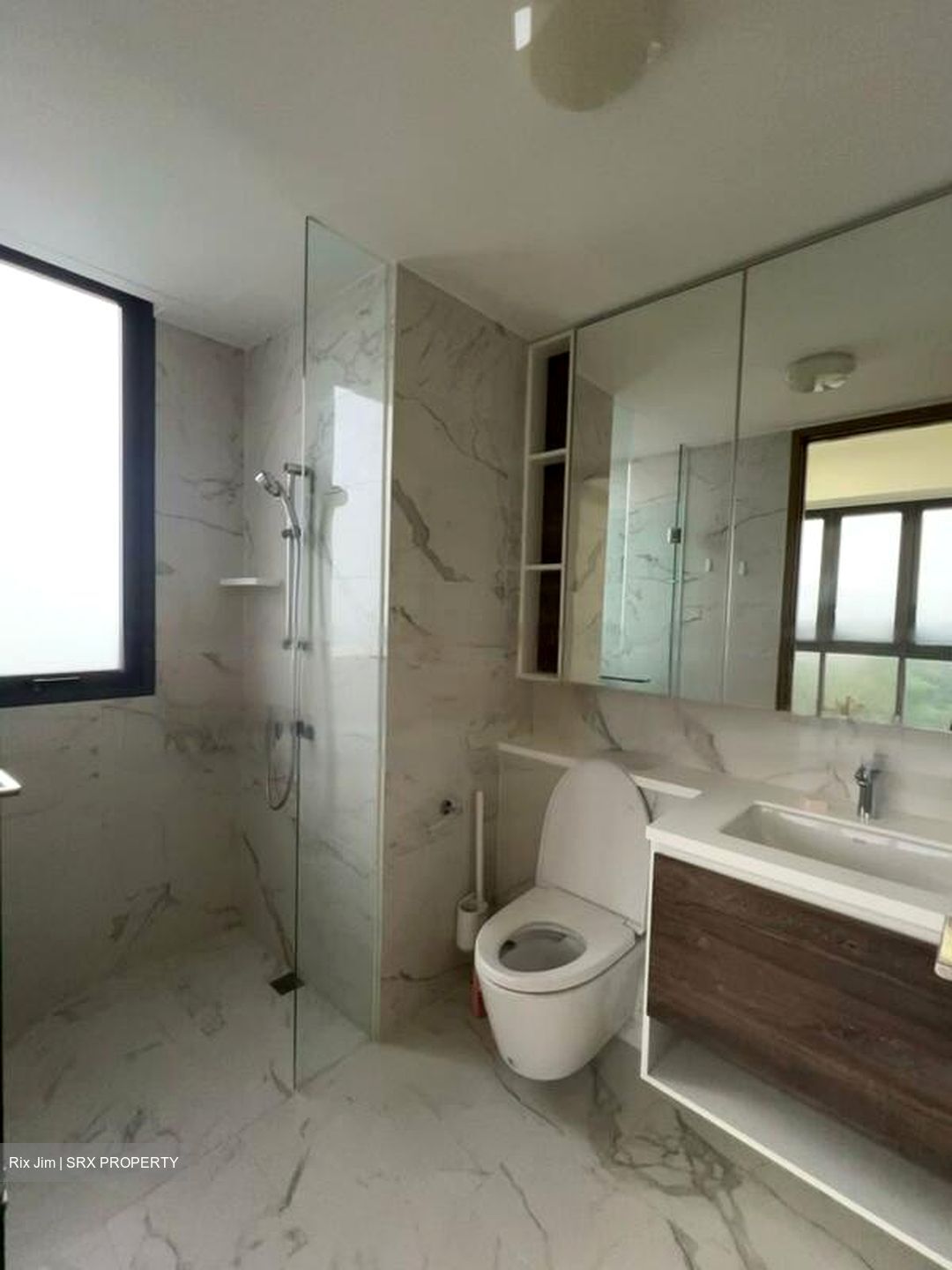Parc Botannia (D28), Condominium #632414781